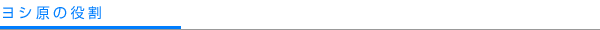 ヨシ原の役割