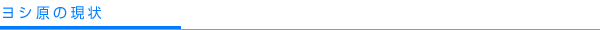ヨシ原の現状