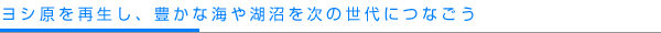 ヨシ原を再生し、豊かな海や湖沼を次の世代につなごう